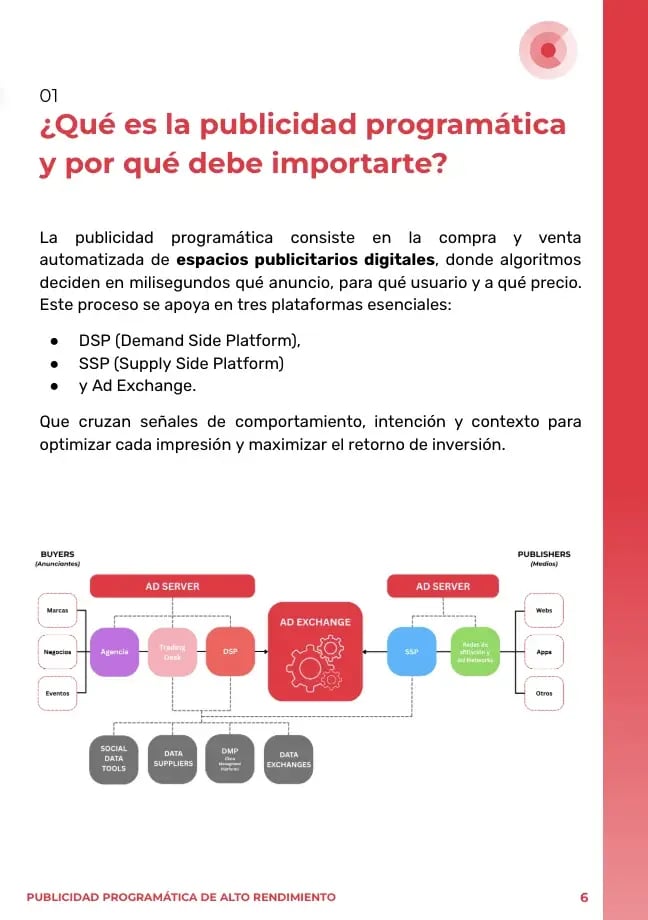 Publicidad Programatica Pagina 1