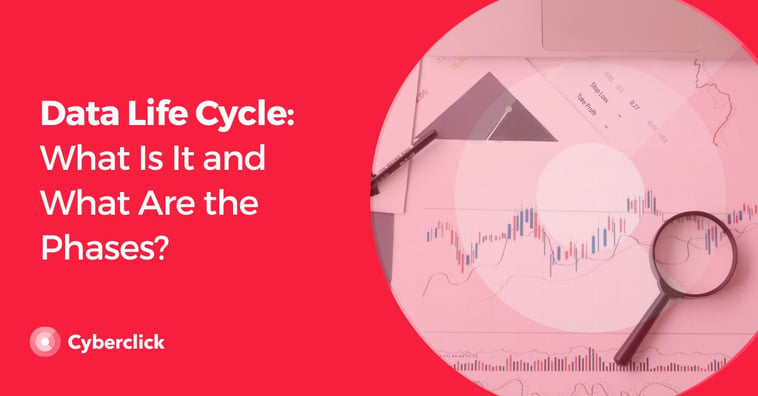 Data Life Cycle: What Is It and What Are the Phases?