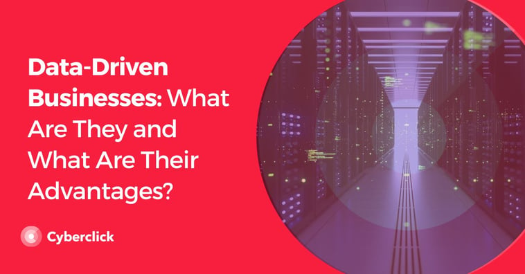 Data-Driven Businesses: What Are They and What Are Their Advantages?