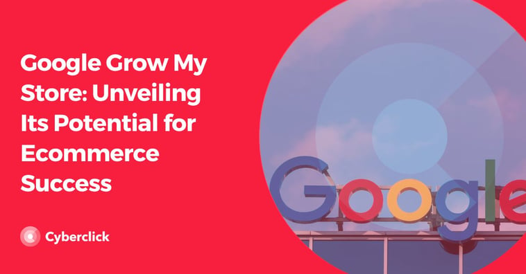 Google’s Grow My Store: What Is It and How To Use It in Your Ecommerce