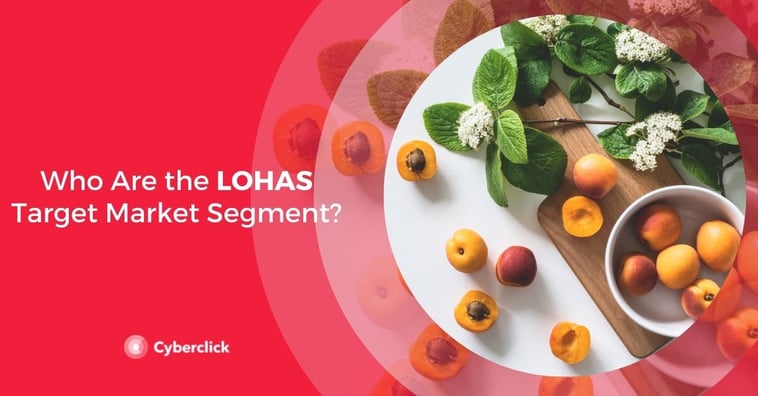 Who Are the LOHAS Target Market Segment?