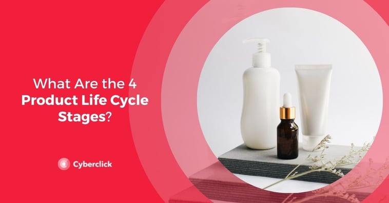 What Are the 4 Product Life Cycle Stages?