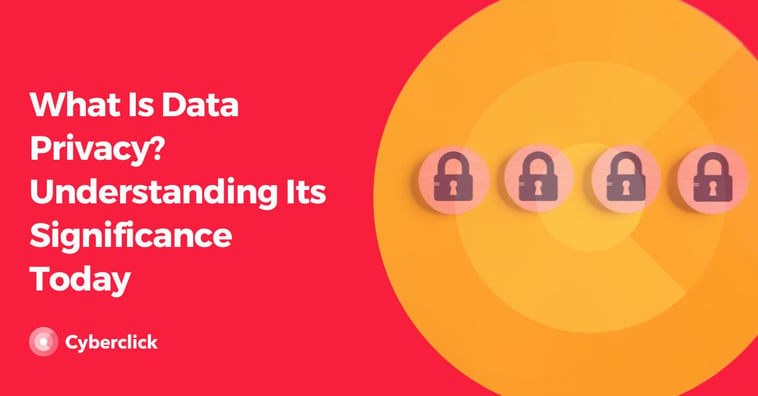 What Is Data Privacy? Understanding Its Significance Today