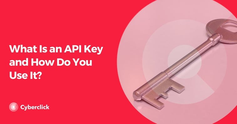 What Is an API Key and How Do You Use It?