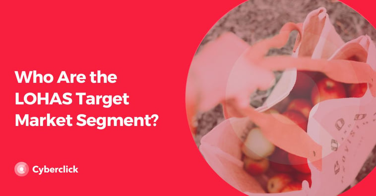 Who Are the LOHAS Target Market Segment?