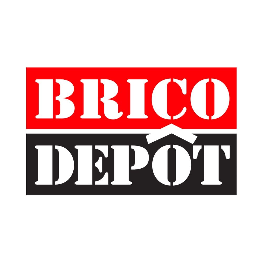 _LOGO Brico Depôt
